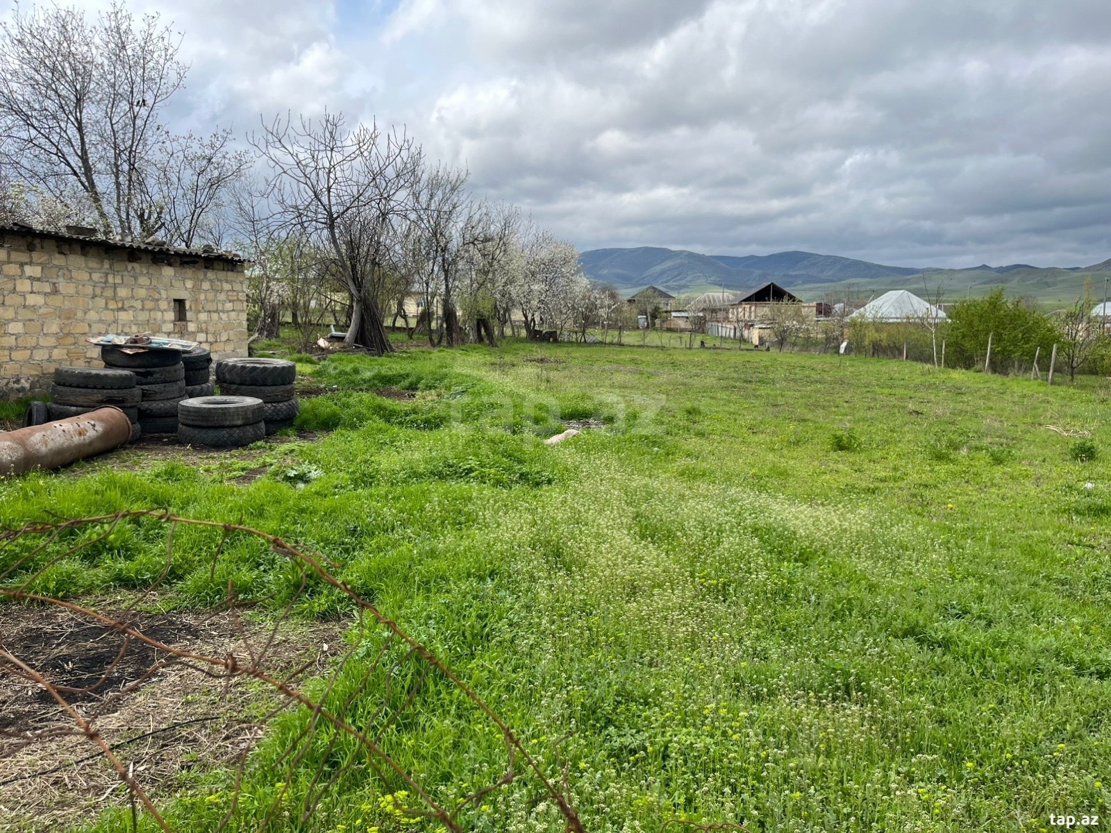 10 sot torpaq sahəsi, Tovuz r. (3)