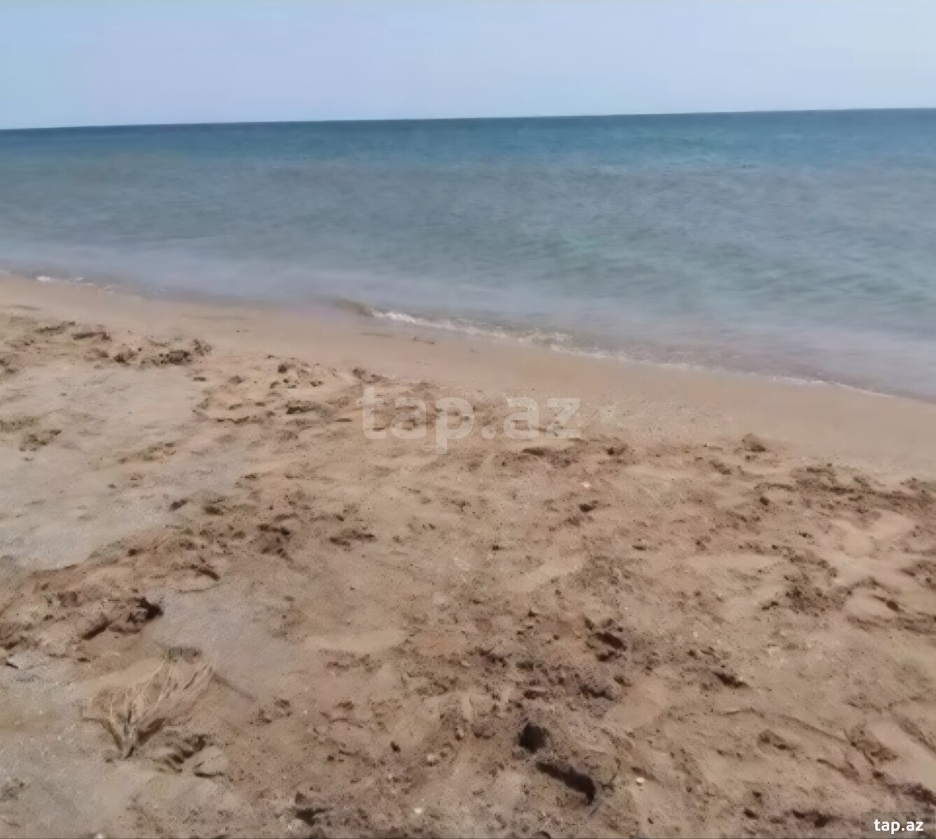 4 sot torpaq sahəsi, Zirə qəs. (9)