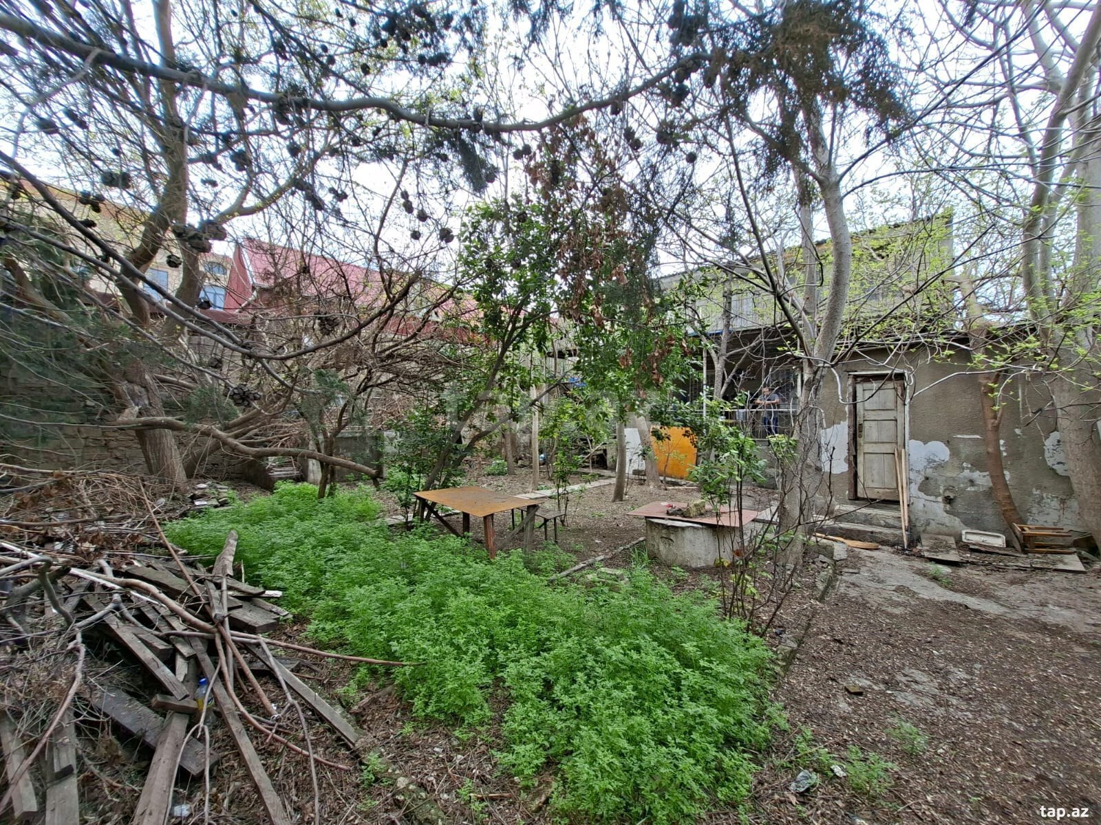 4 sot torpaq sahəsi, Məmməd Araz küç. (2)