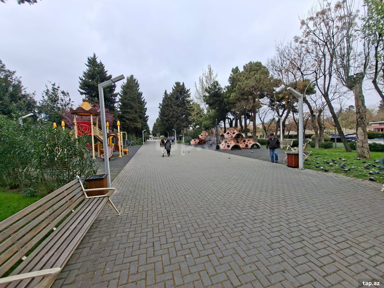 4 sot torpaq sahəsi, Məmməd Araz küç. (15)