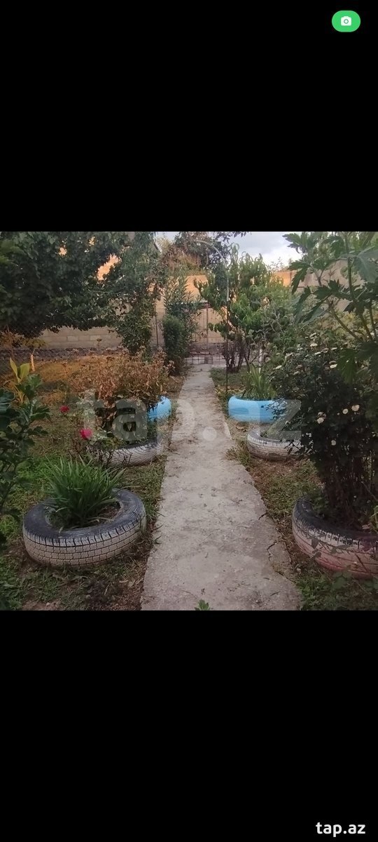 Həyət evi, Şəki ş.