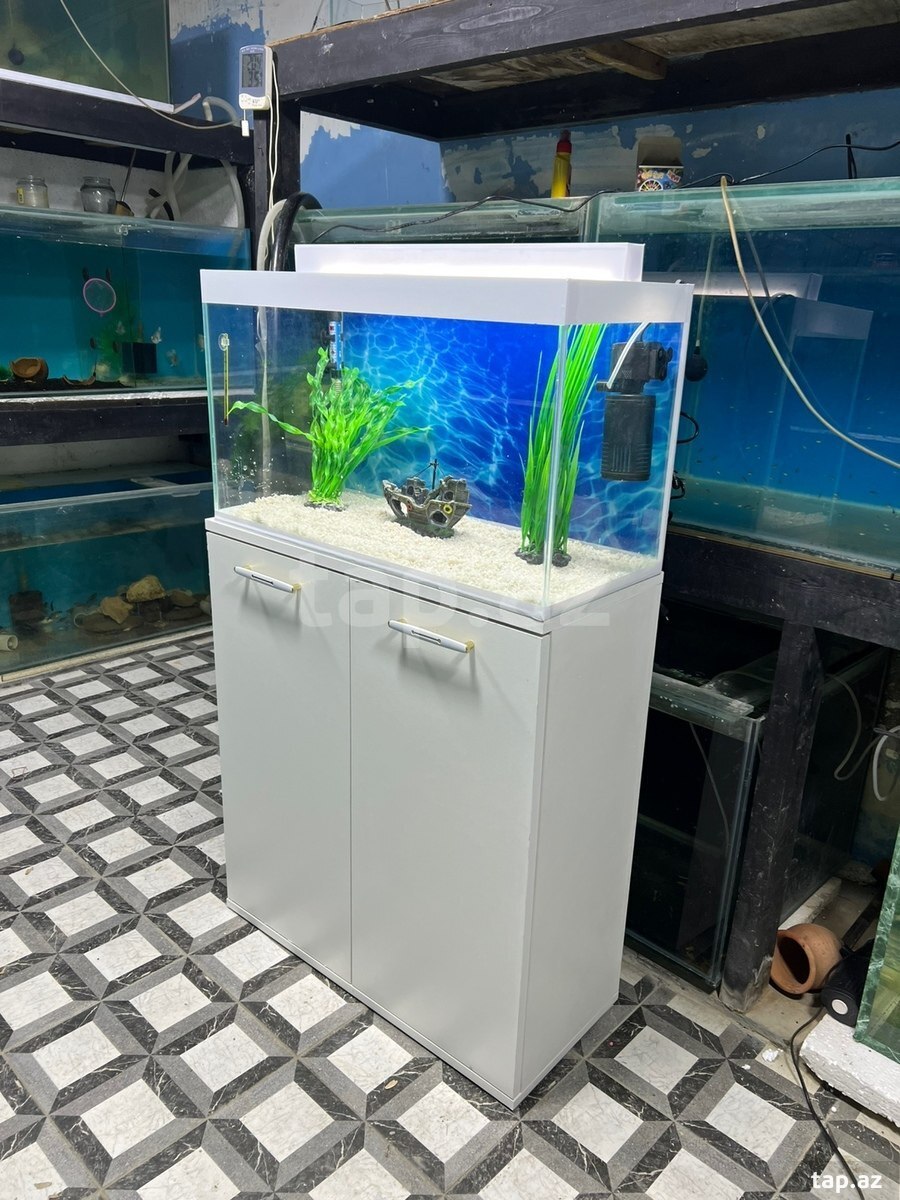 Akvarium