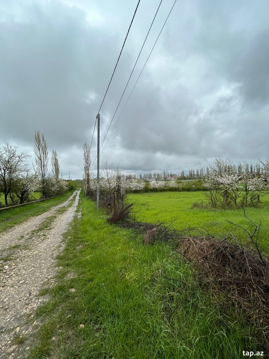 12 sot torpaq sahəsi, Qusar r. (2)
