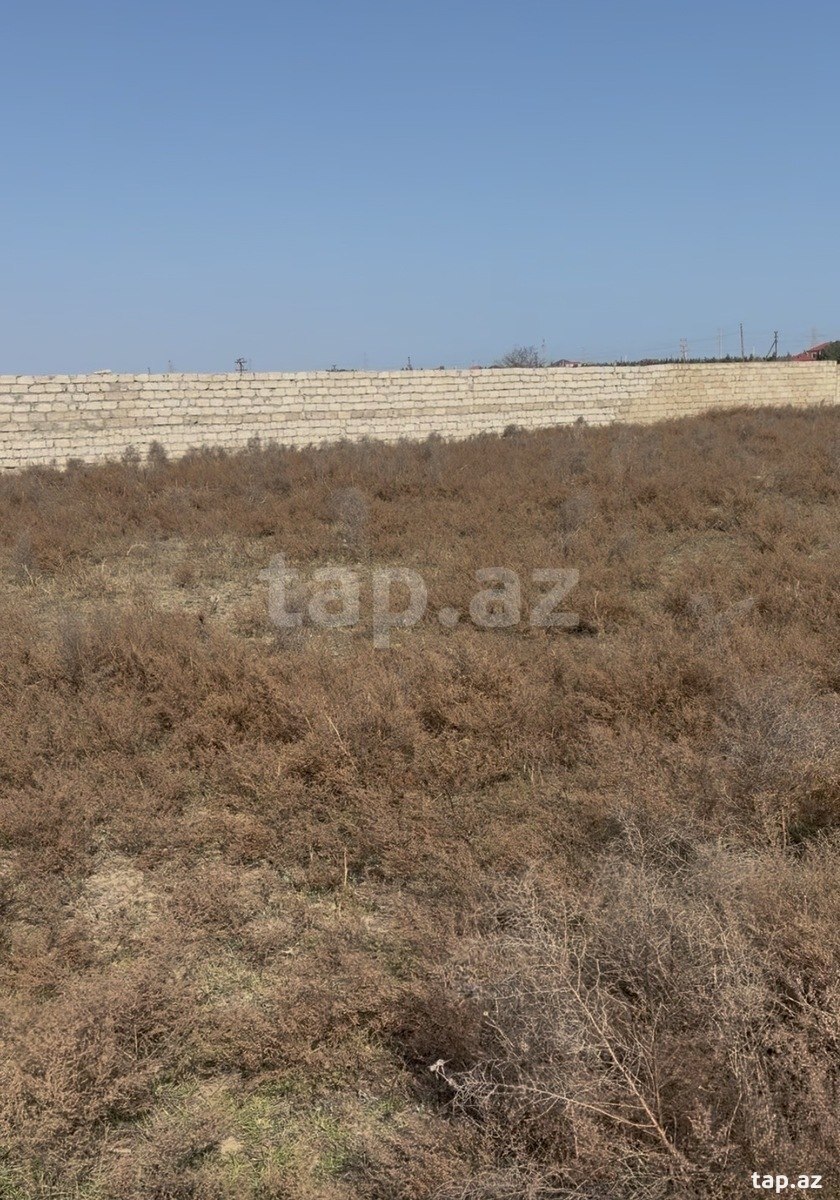 20 sot torpaq sahəsi, Zirə qəs.