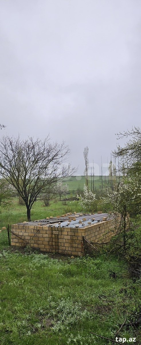 12 sot torpaq sahəsi, Qusar r. (5)