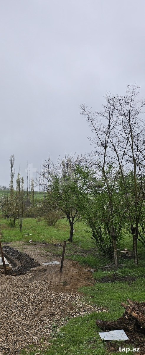 12 sot torpaq sahəsi, Qusar r. (3)