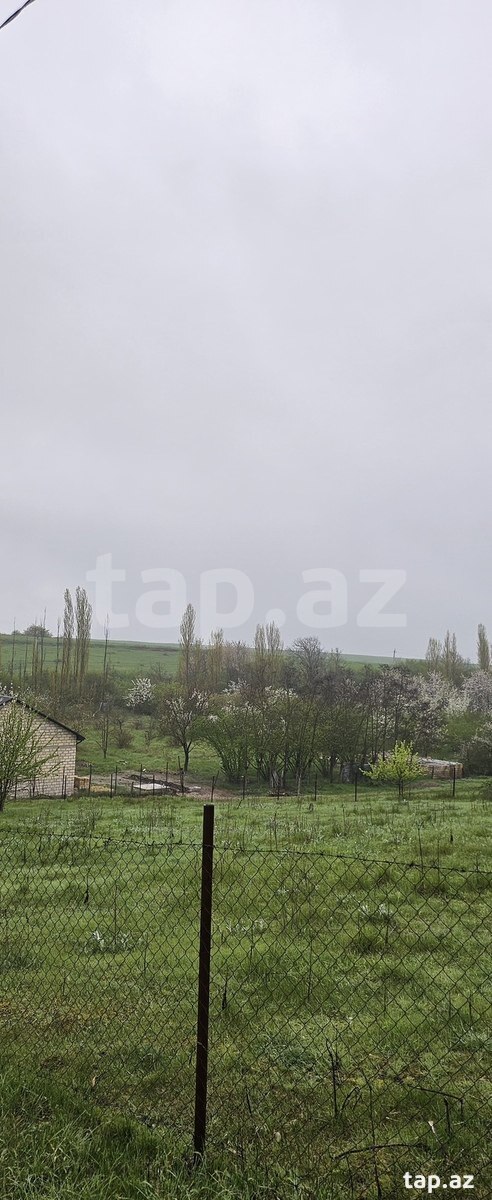 12 sot torpaq sahəsi, Qusar r. (2)