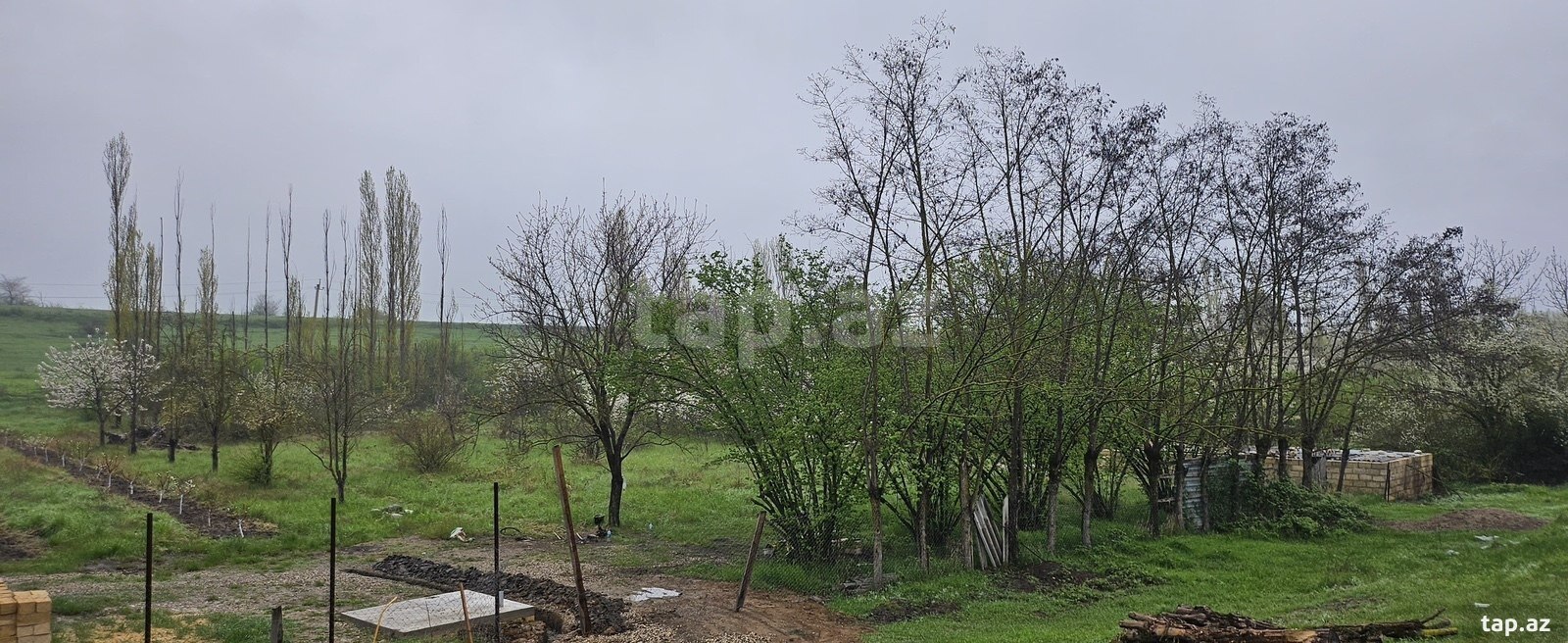 12 sot torpaq sahəsi, Qusar r. (7)