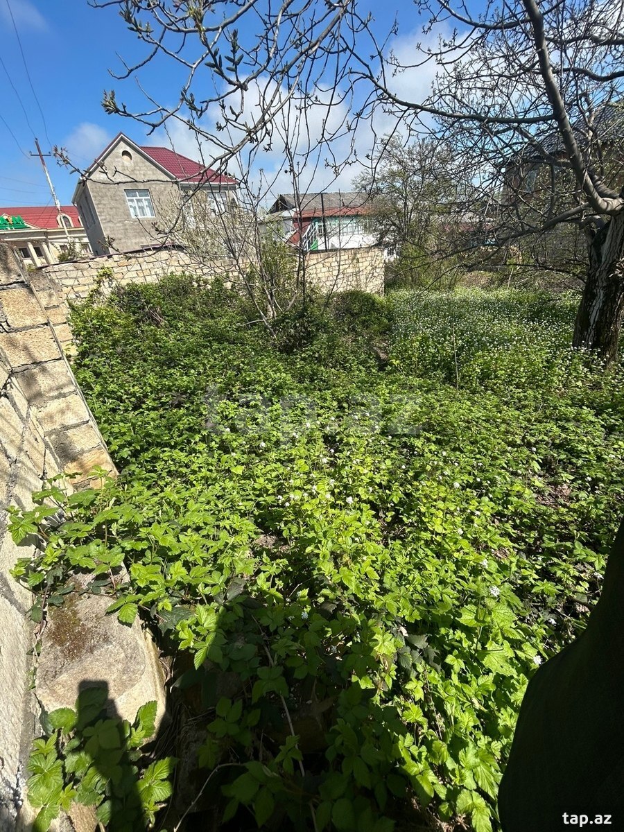 4 sot torpaq sahəsi, Qusar r. (3)