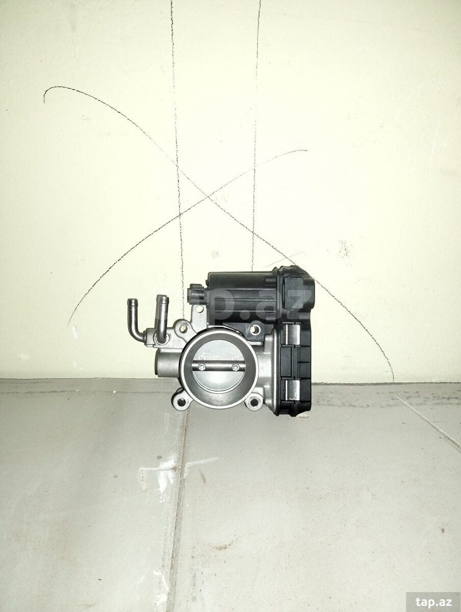 Great wall drossel