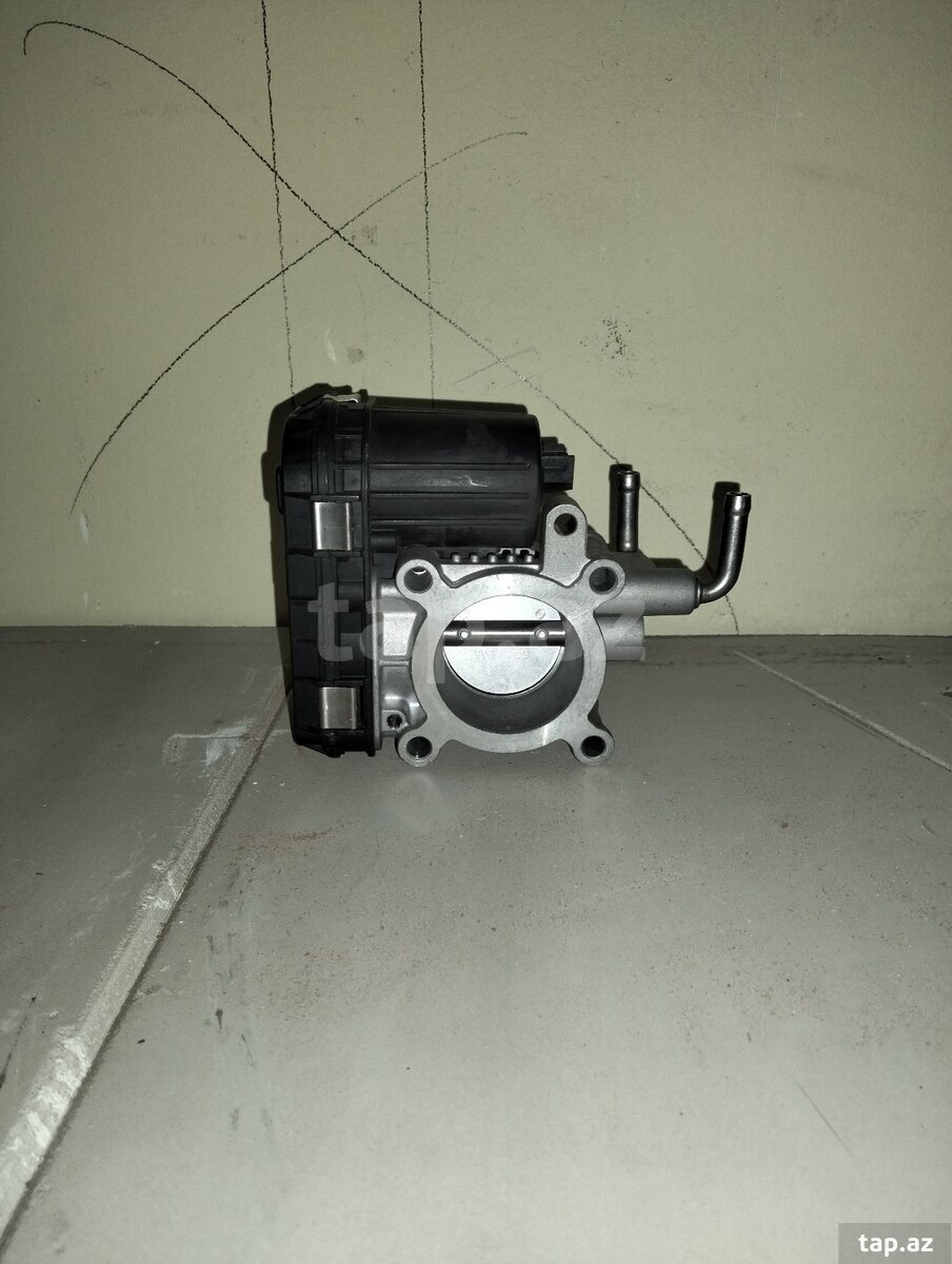Great wall drossel (2)