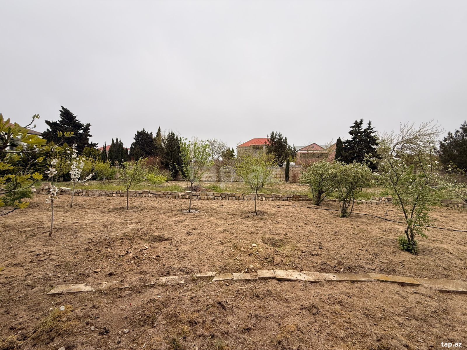 15 sot torpaq sahəsi, Mərdəkan qəs.