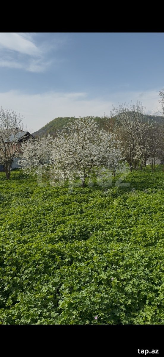 Земельный участок на продажу, Габала, Габала