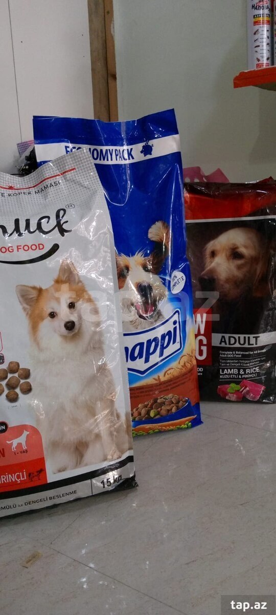İt və pişik yemləri