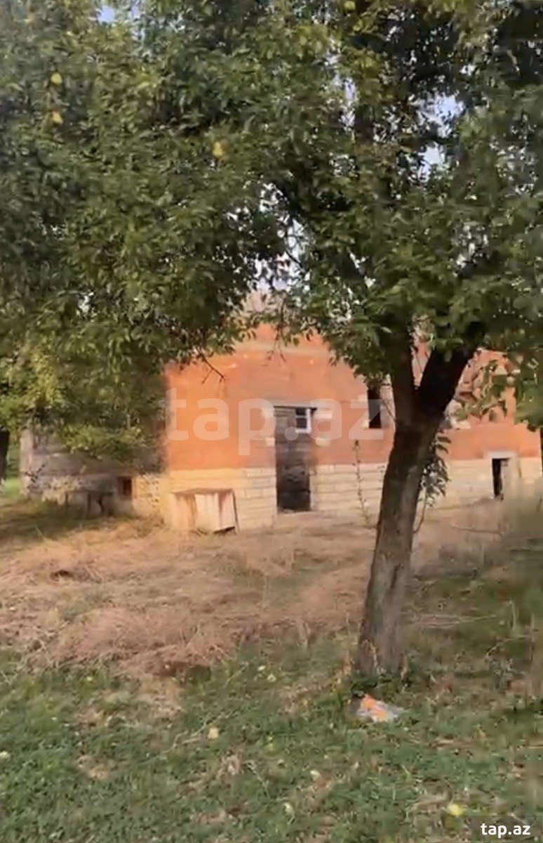 11 sot torpaq sahəsi, Balakən r. (3)