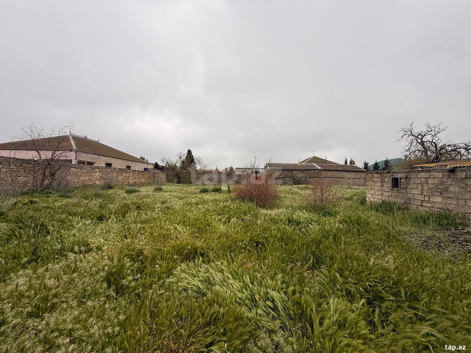Torpaq satılır, Bakı