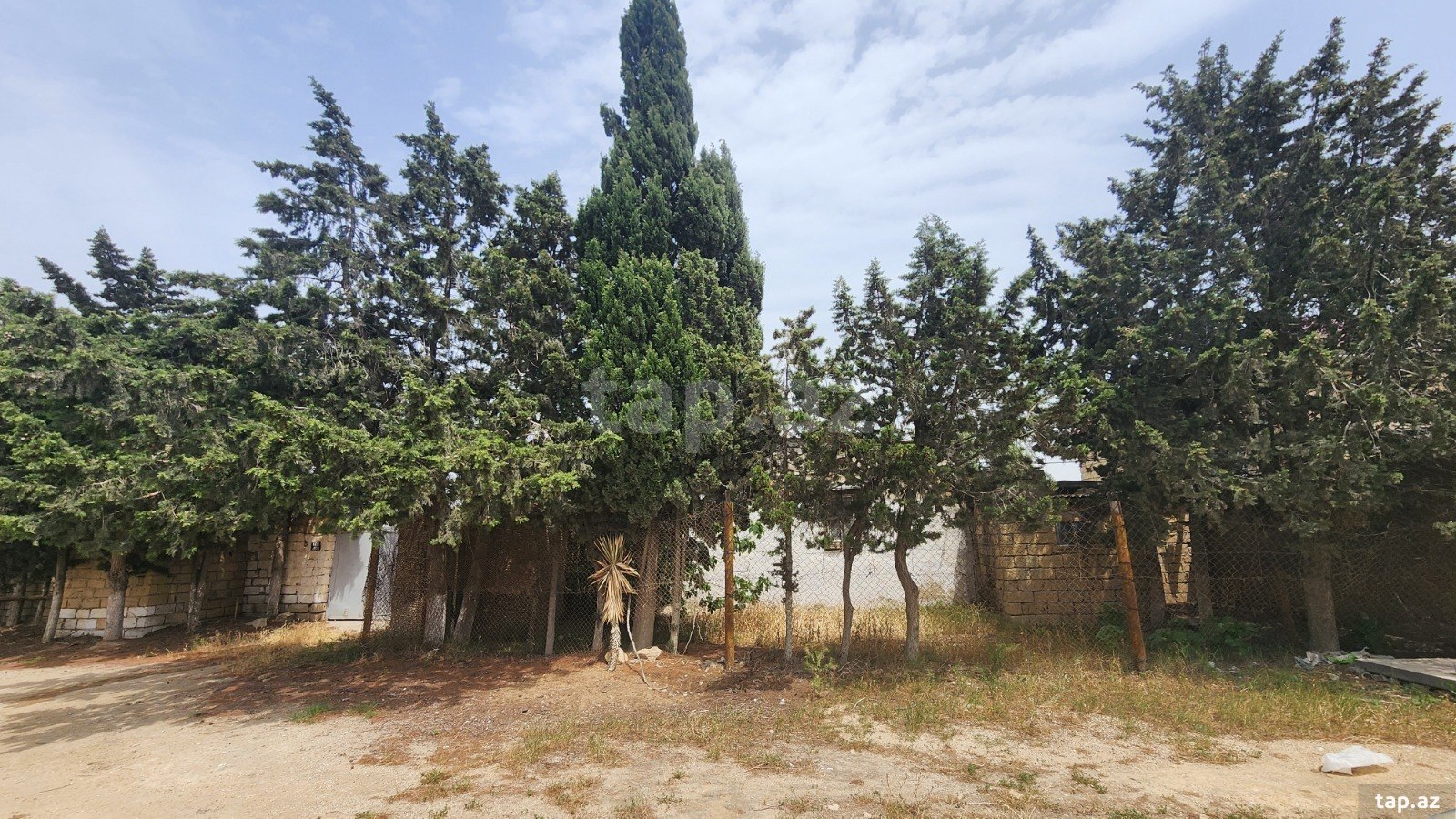 24 sot torpaq sahəsi, Albalı qəs. (34)