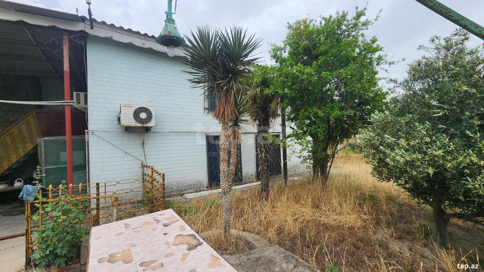 24 sot torpaq sahəsi, Albalı qəs. (15)
