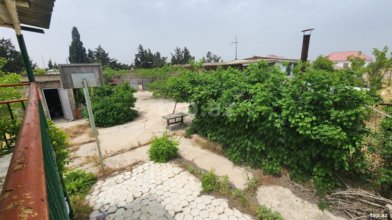 24 sot torpaq sahəsi, Albalı qəs. (11)