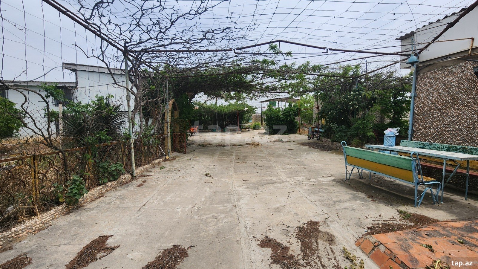 24 sot torpaq sahəsi, Albalı qəs. (27)