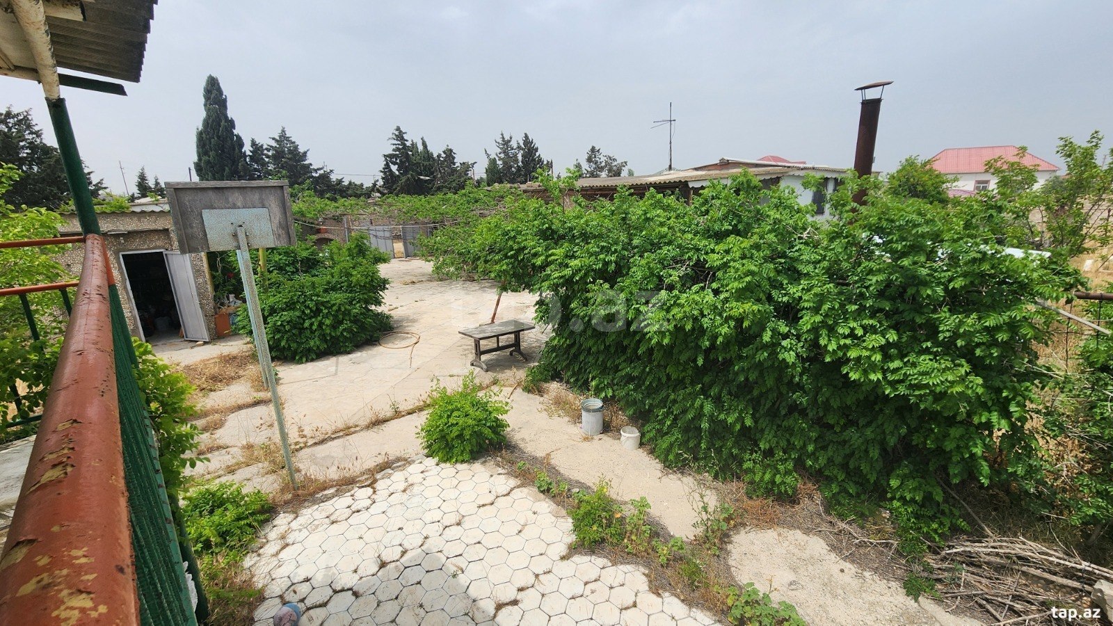 24 sot torpaq sahəsi, Albalı qəs. (12)