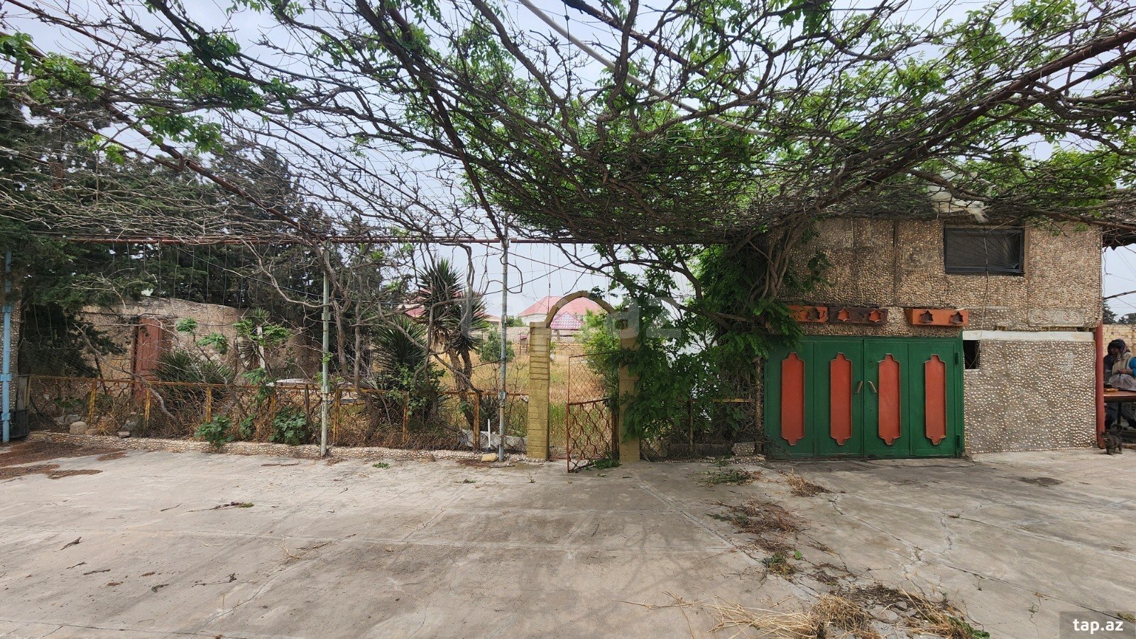 24 sot torpaq sahəsi, Albalı qəs. (25)