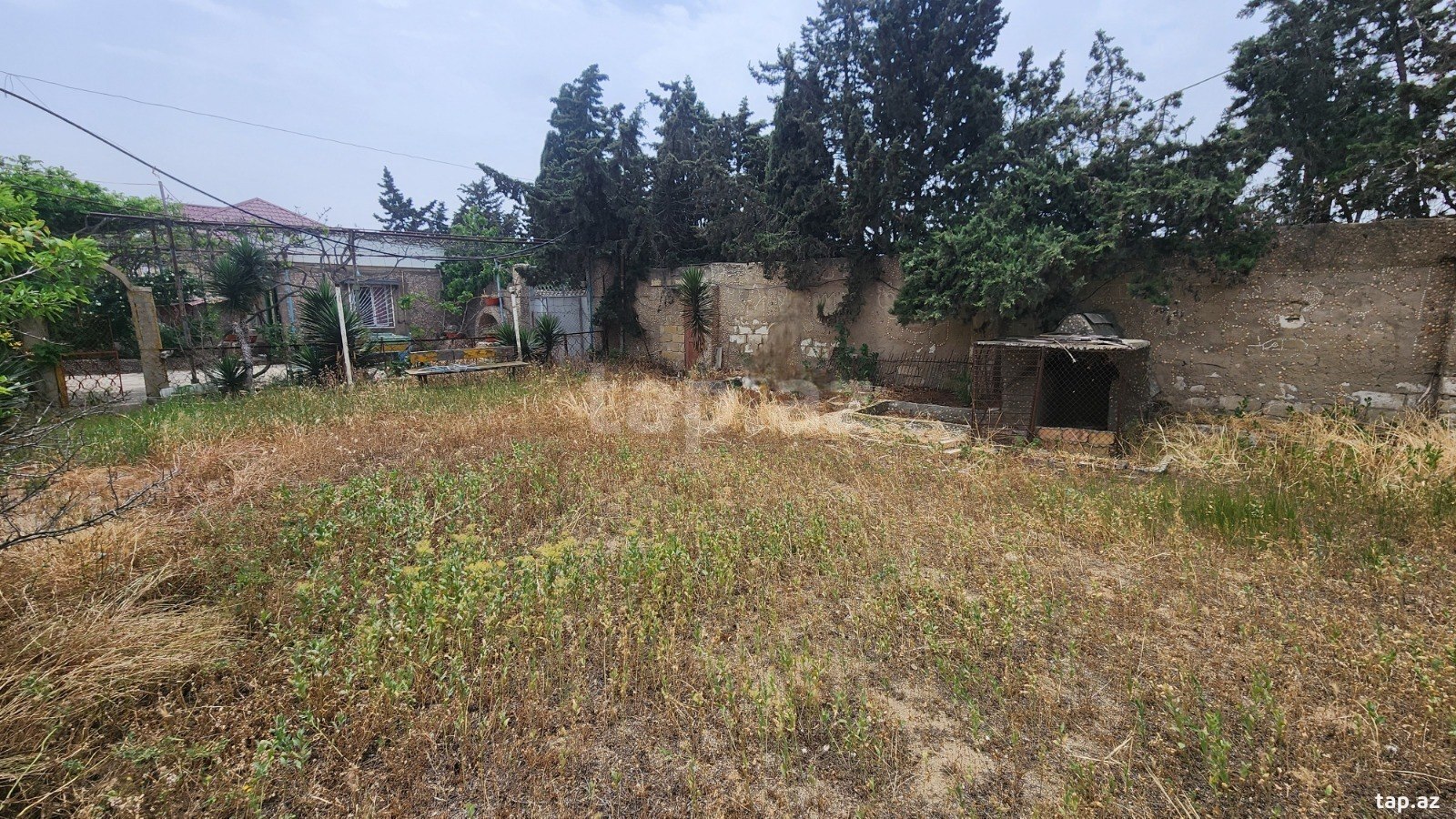 24 sot torpaq sahəsi, Albalı qəs. (22)