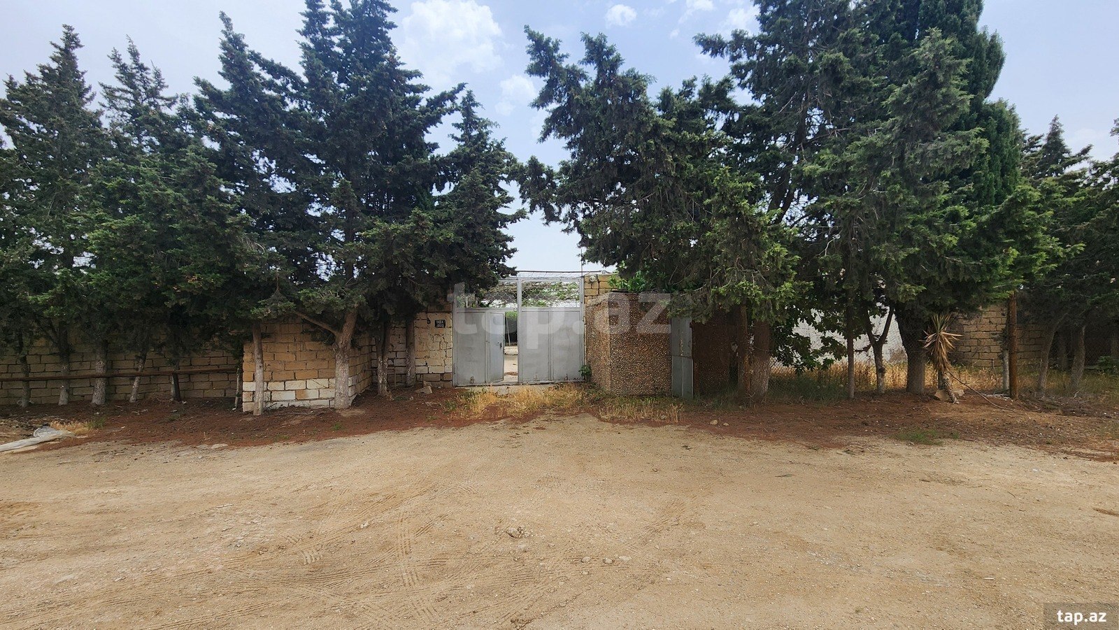 24 sot torpaq sahəsi, Albalı qəs. (16)