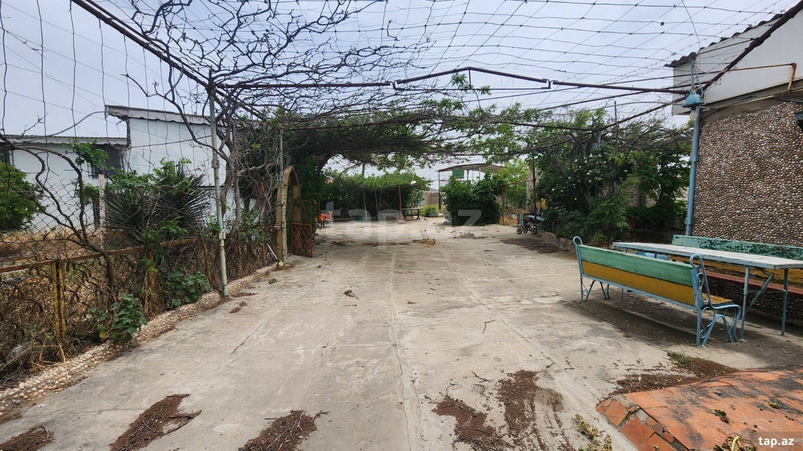 24 sot torpaq sahəsi, Albalı qəs. (38)