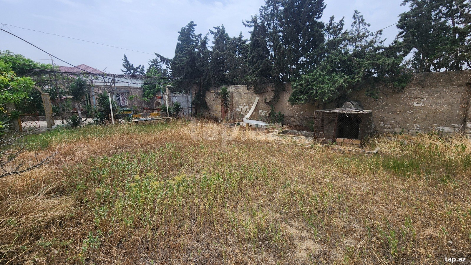 24 sot torpaq sahəsi, Albalı qəs. (21)
