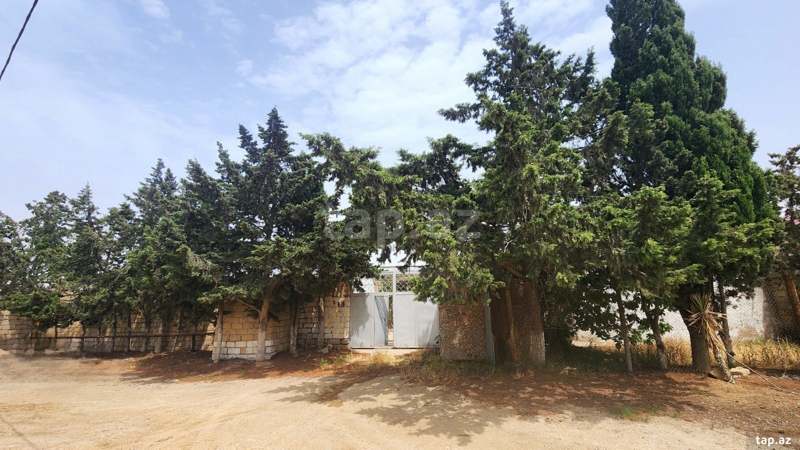 24 sot torpaq sahəsi, Albalı qəs. (35)