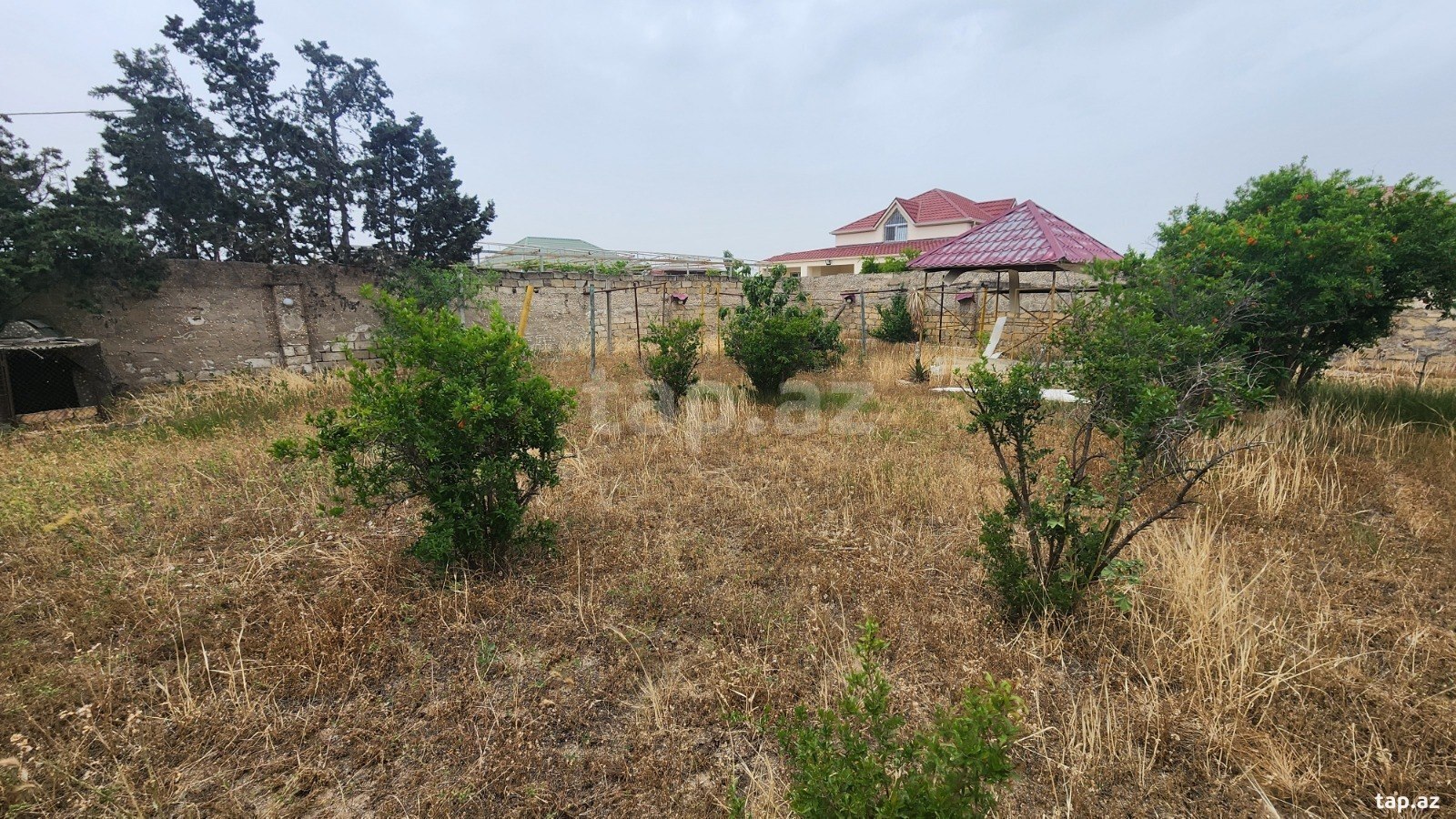 24 sot torpaq sahəsi, Albalı qəs. (20)
