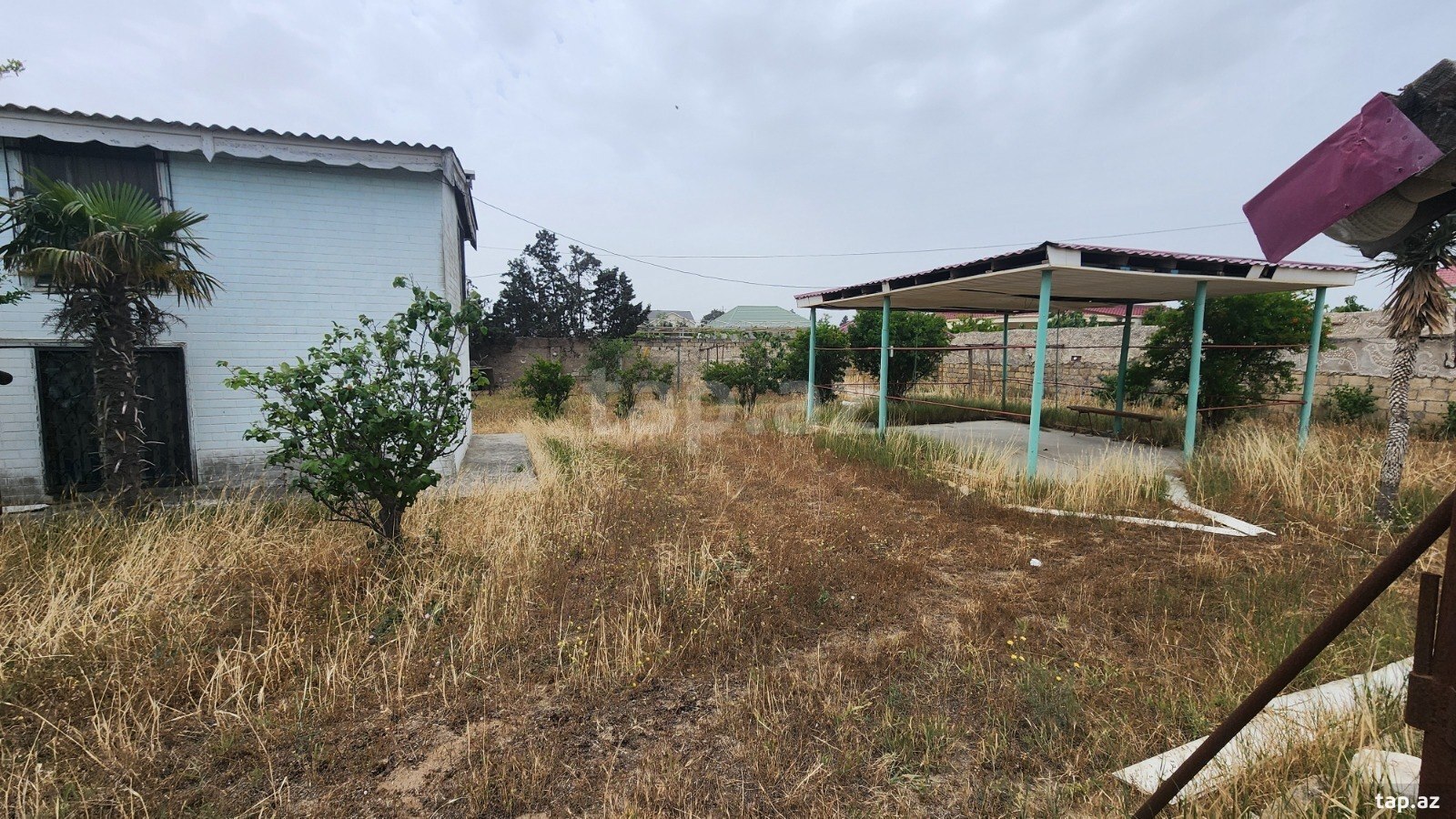 24 sot torpaq sahəsi, Albalı qəs. (17)