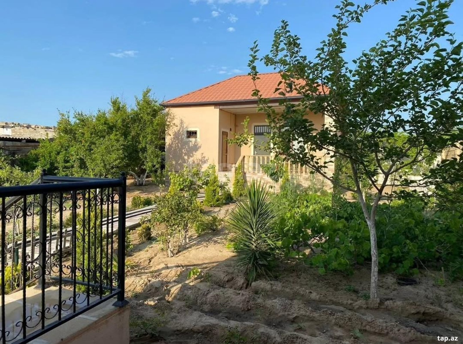 Bağ evi kirayə verilir, Novxanı qəs. (5)
