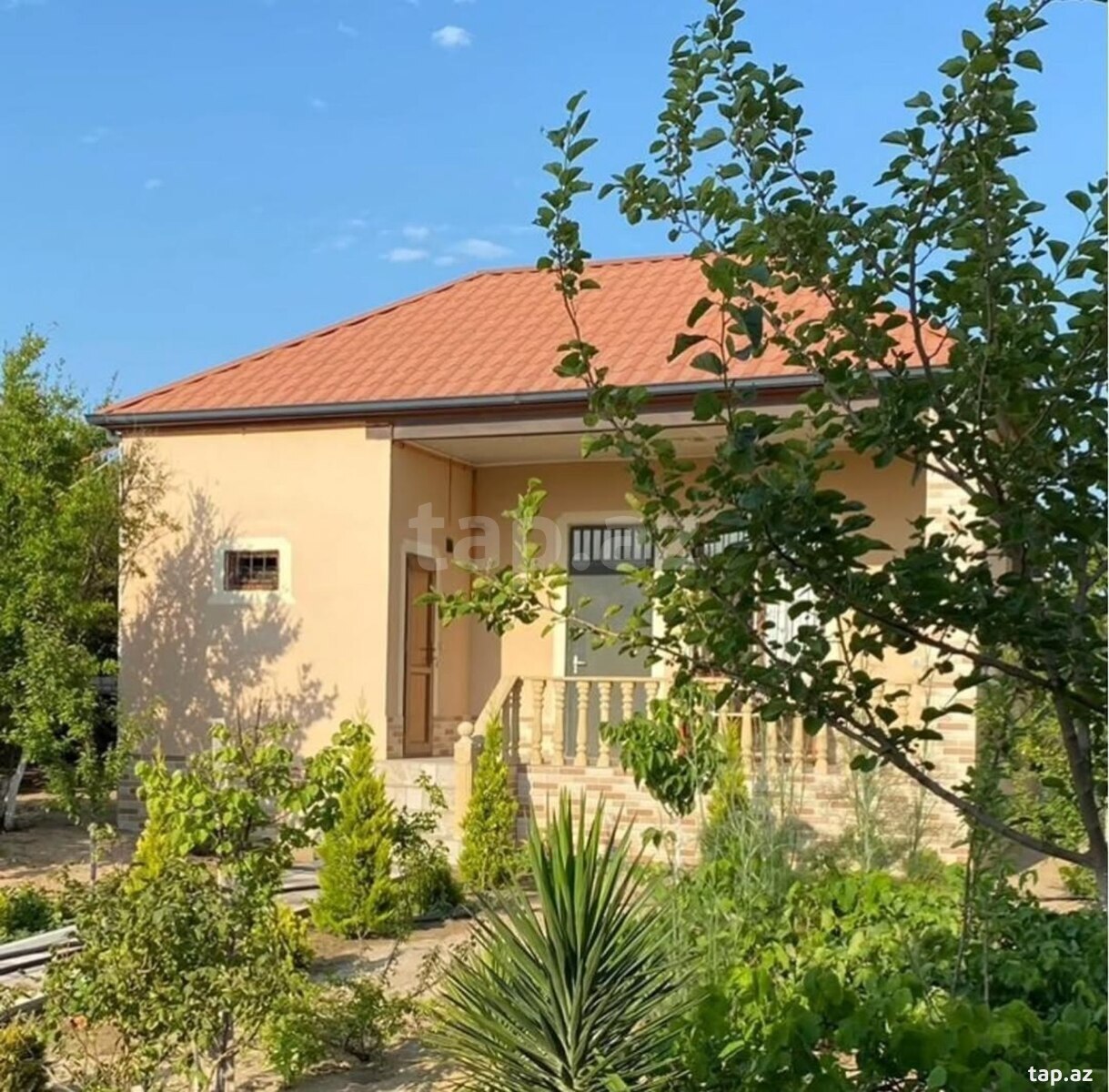 Bağ evi kirayə verilir, Novxanı qəs. (11)
