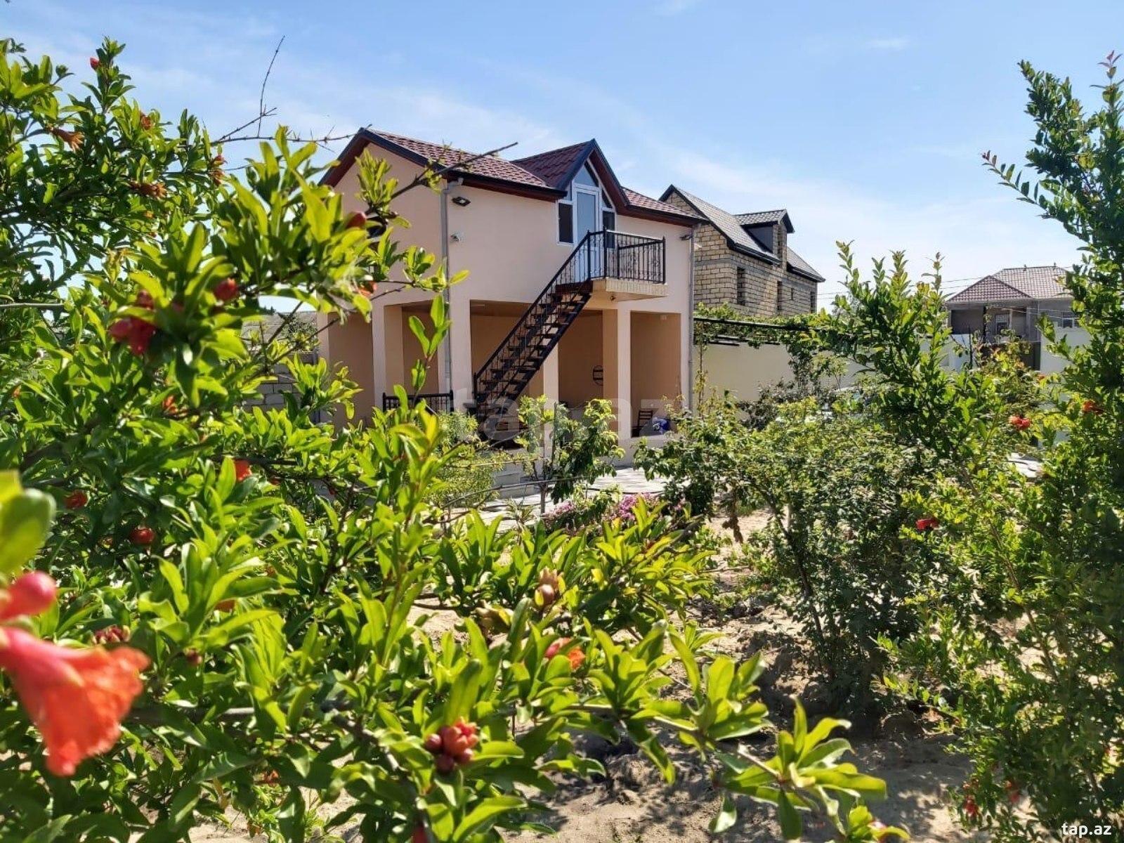 Bağ evi kirayə verilir, Novxanı qəs. (25)