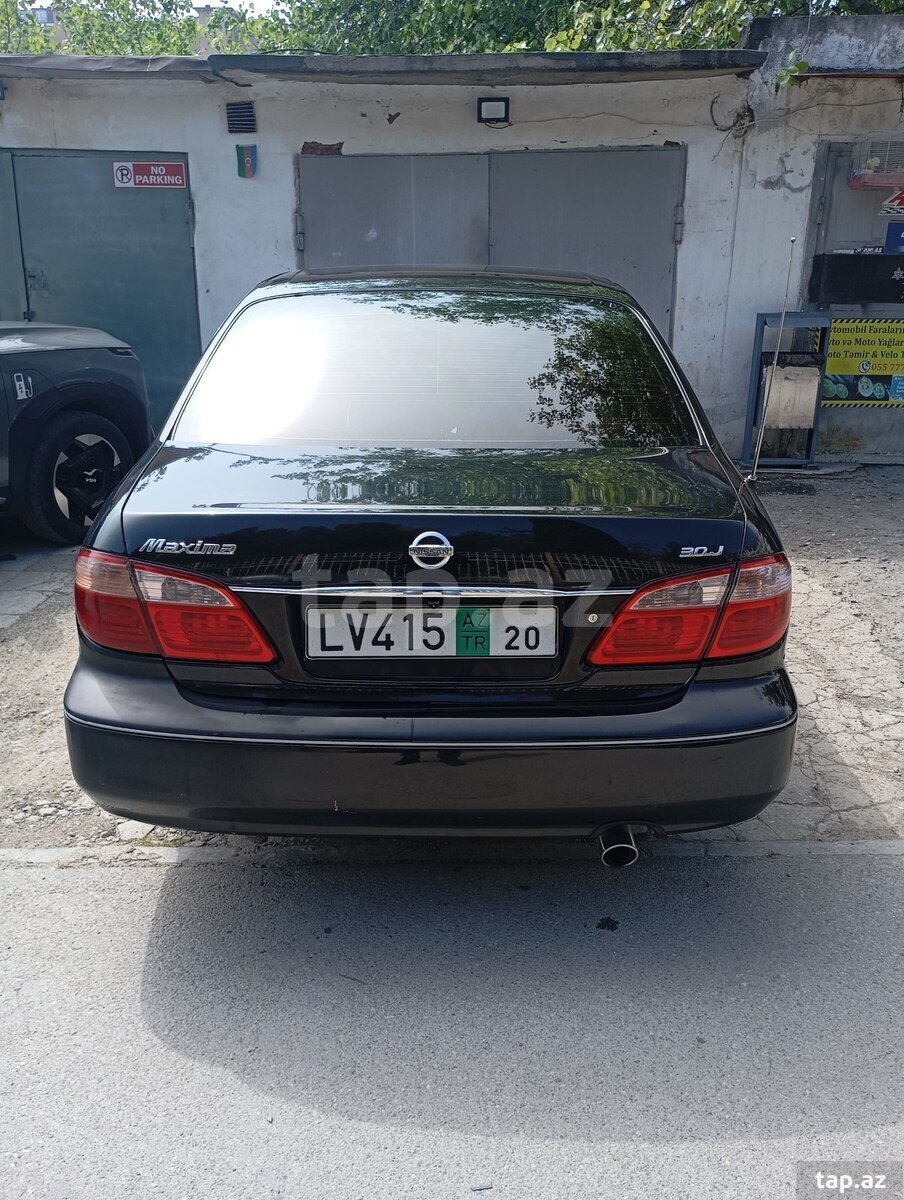 Nissan Maxima, 2005 год (2)