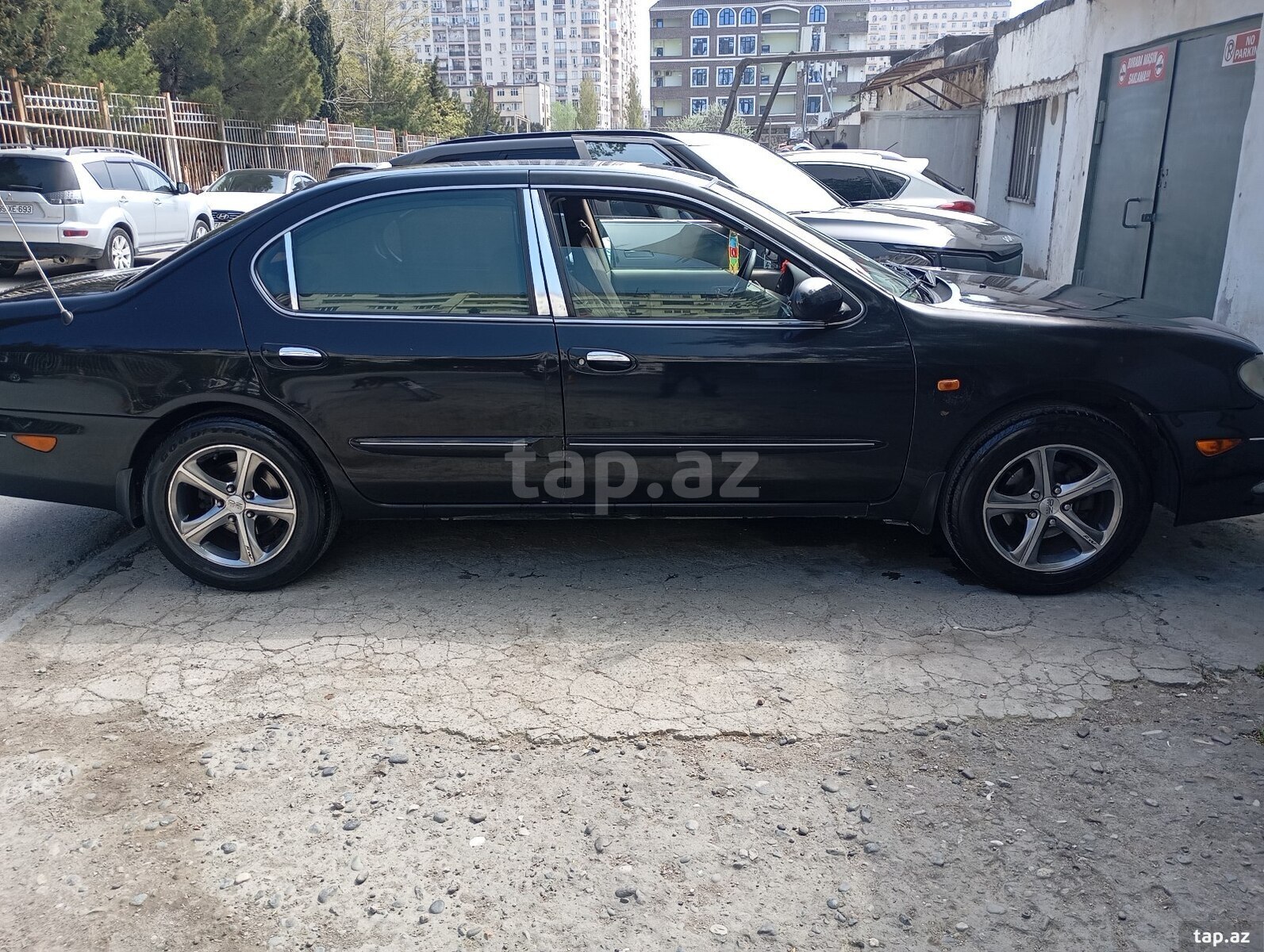 Nissan Maxima, 2005 год (3)