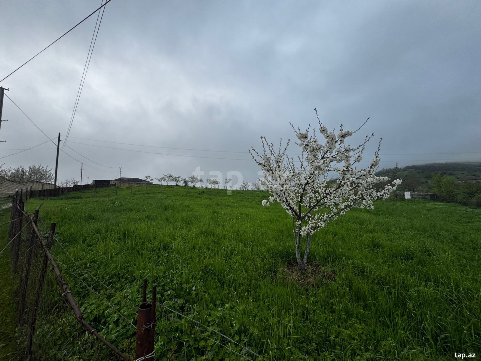 12 sot torpaq sahəsi, Quba r. (4)