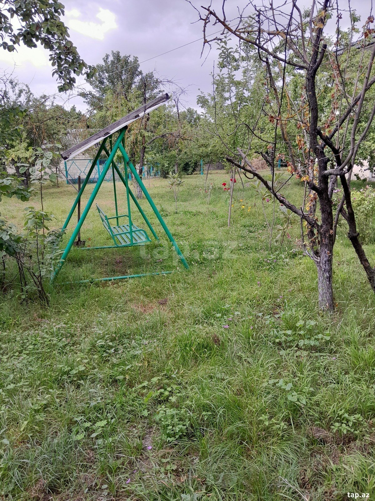 Bağ evi kirayə verilir, İsmayıllı r. (10)