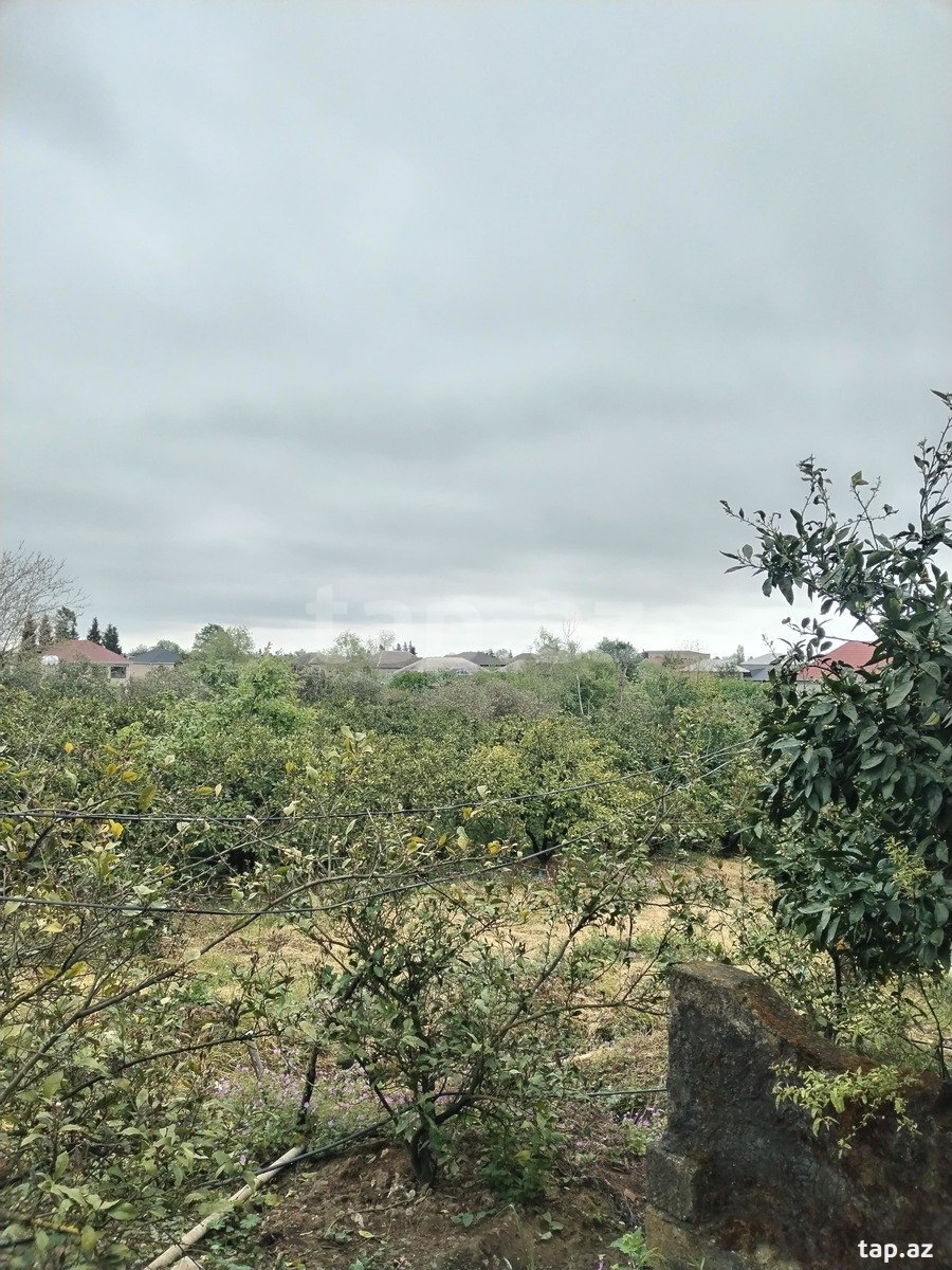 64 sot torpaq sahəsi, Lənkəran ş.