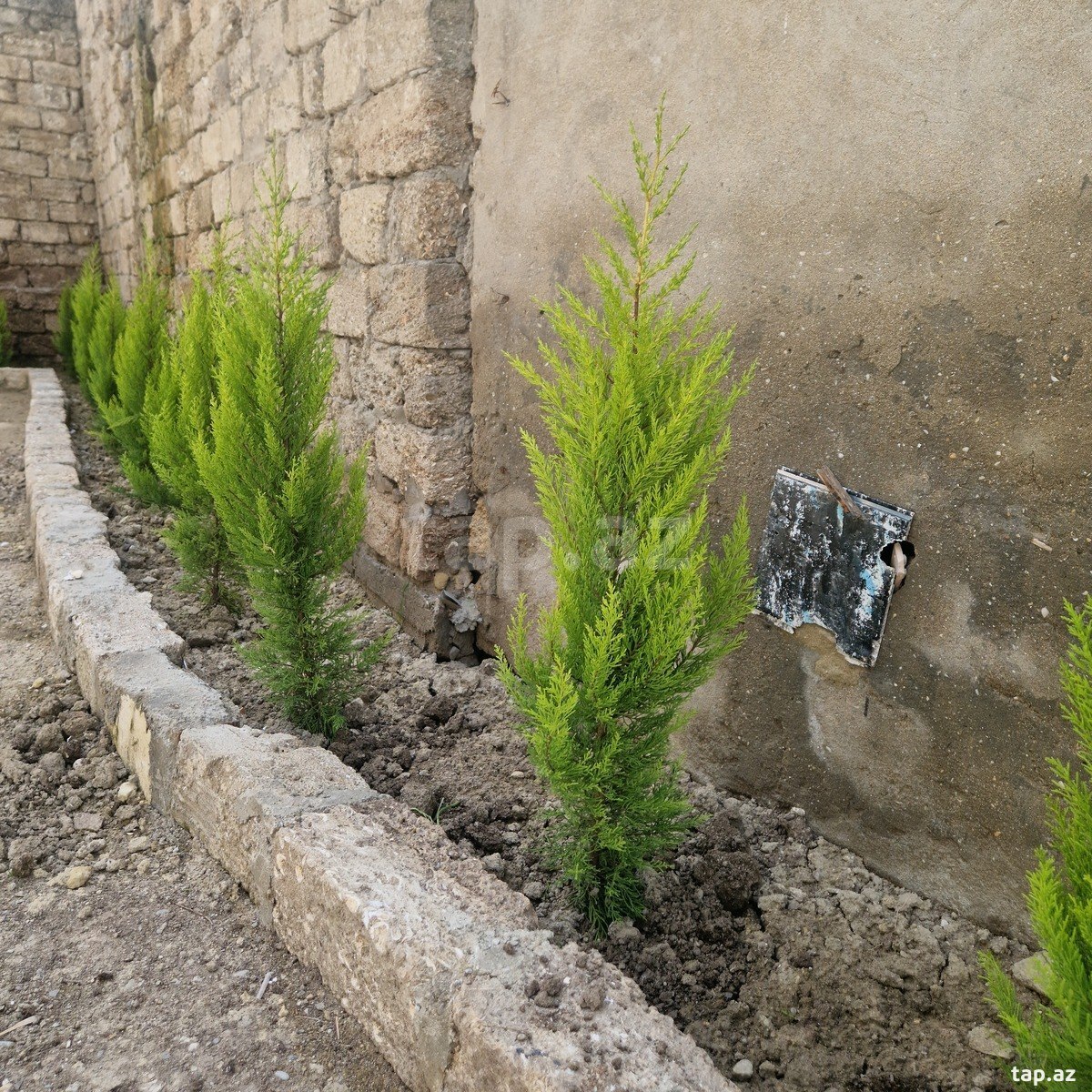 Həyət evi kirayə verilir, Əhmədli m.