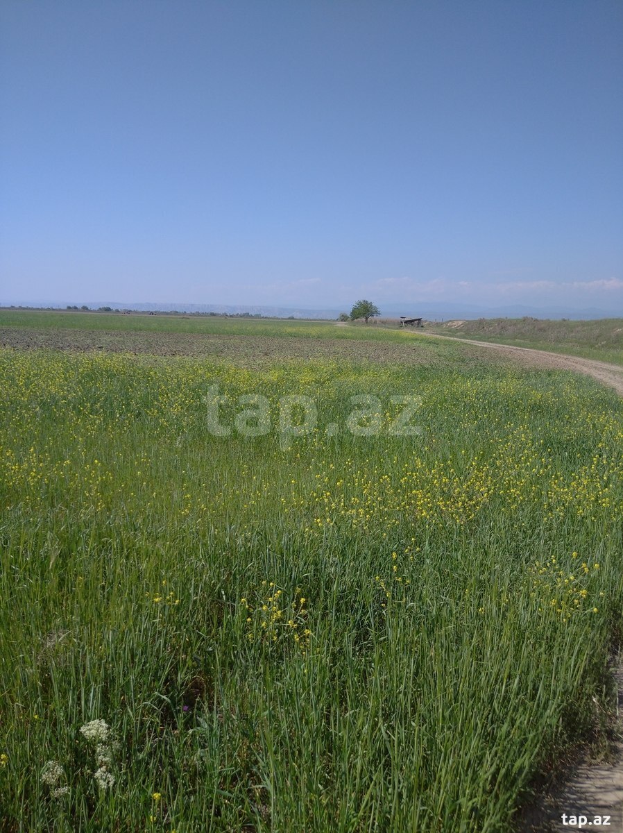 3000 sot torpaq sahəsi, Xızı r.