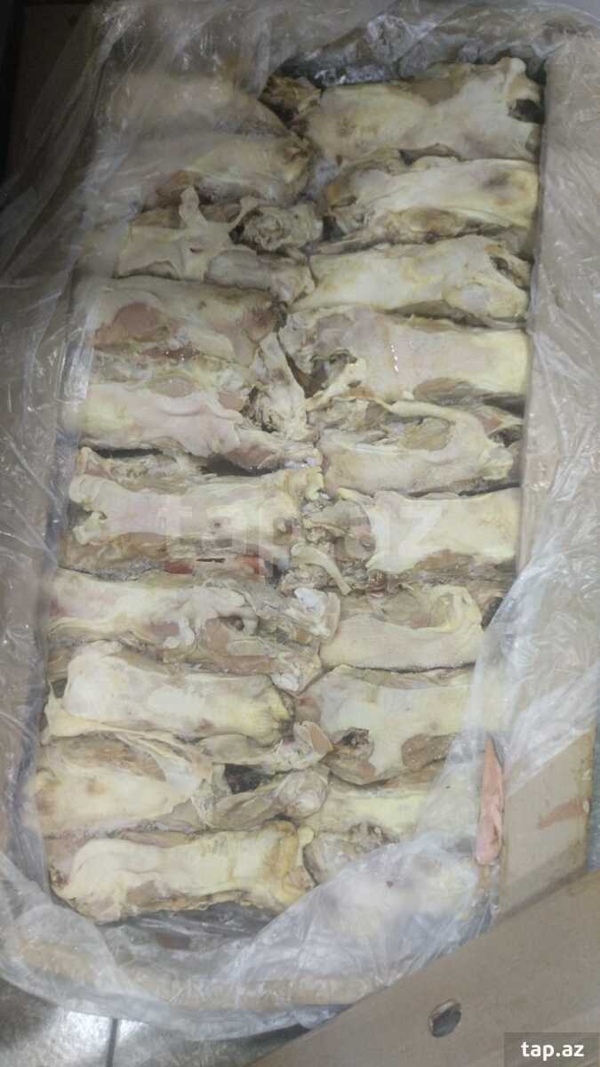 Toyuq beli (2)