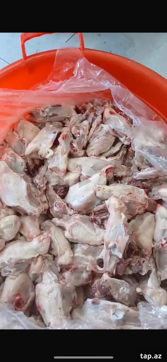 Toyuq beli (3)