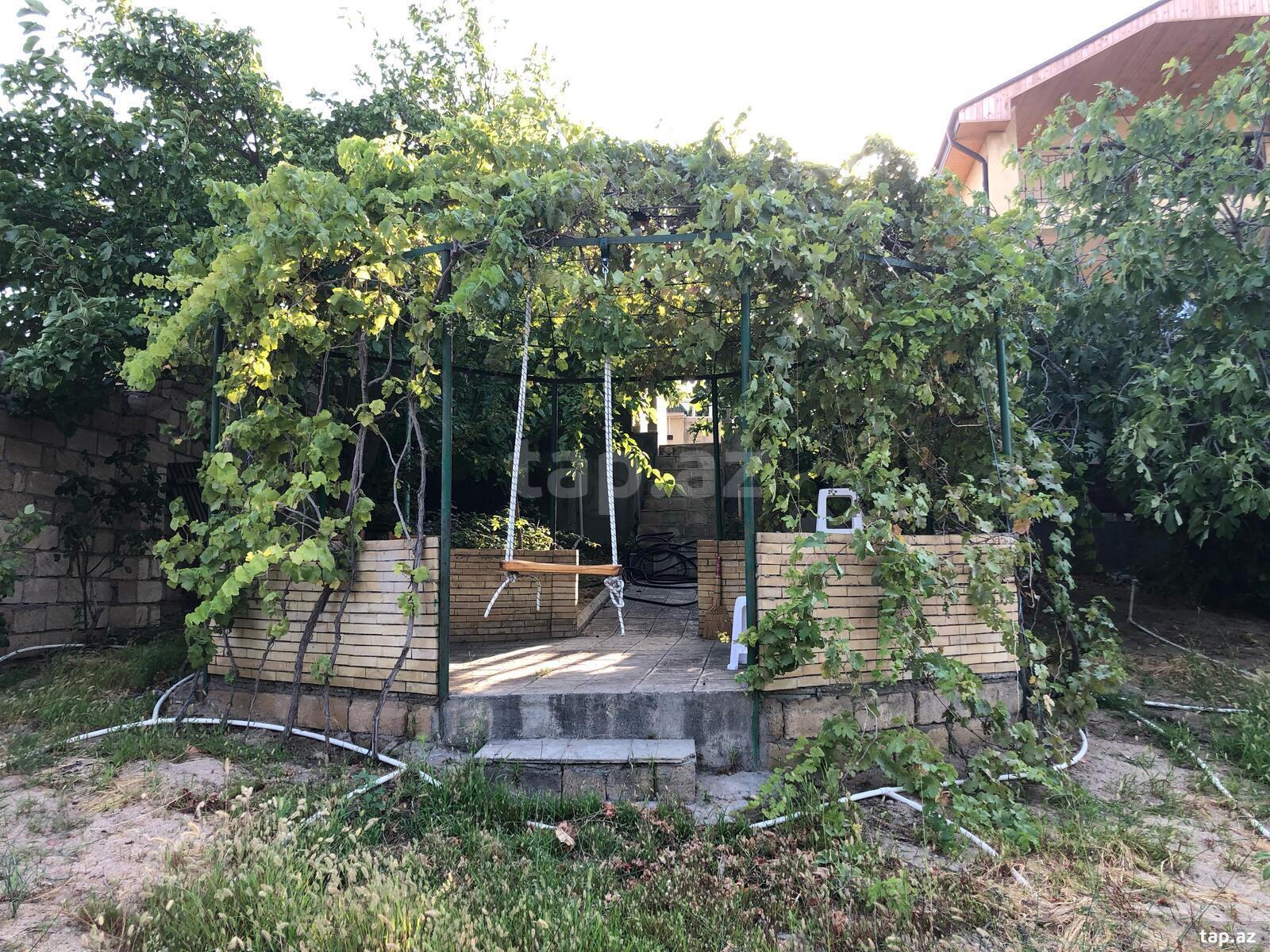Bağ evi, Novxanı qəs. (17)