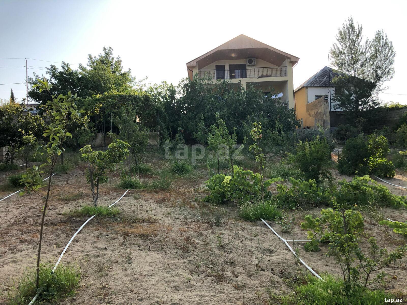 Bağ evi, Novxanı qəs. (12)