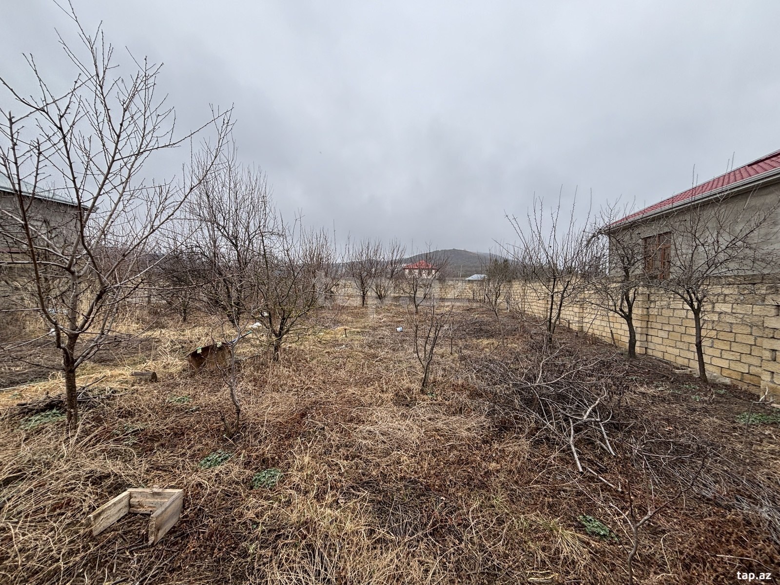 10 sot torpaq sahəsi, Quba r. (2)