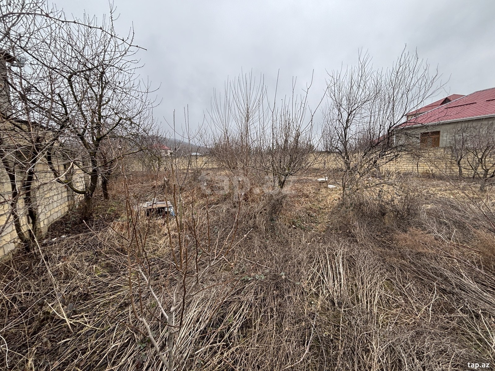 10 sot torpaq sahəsi, Quba r. (3)
