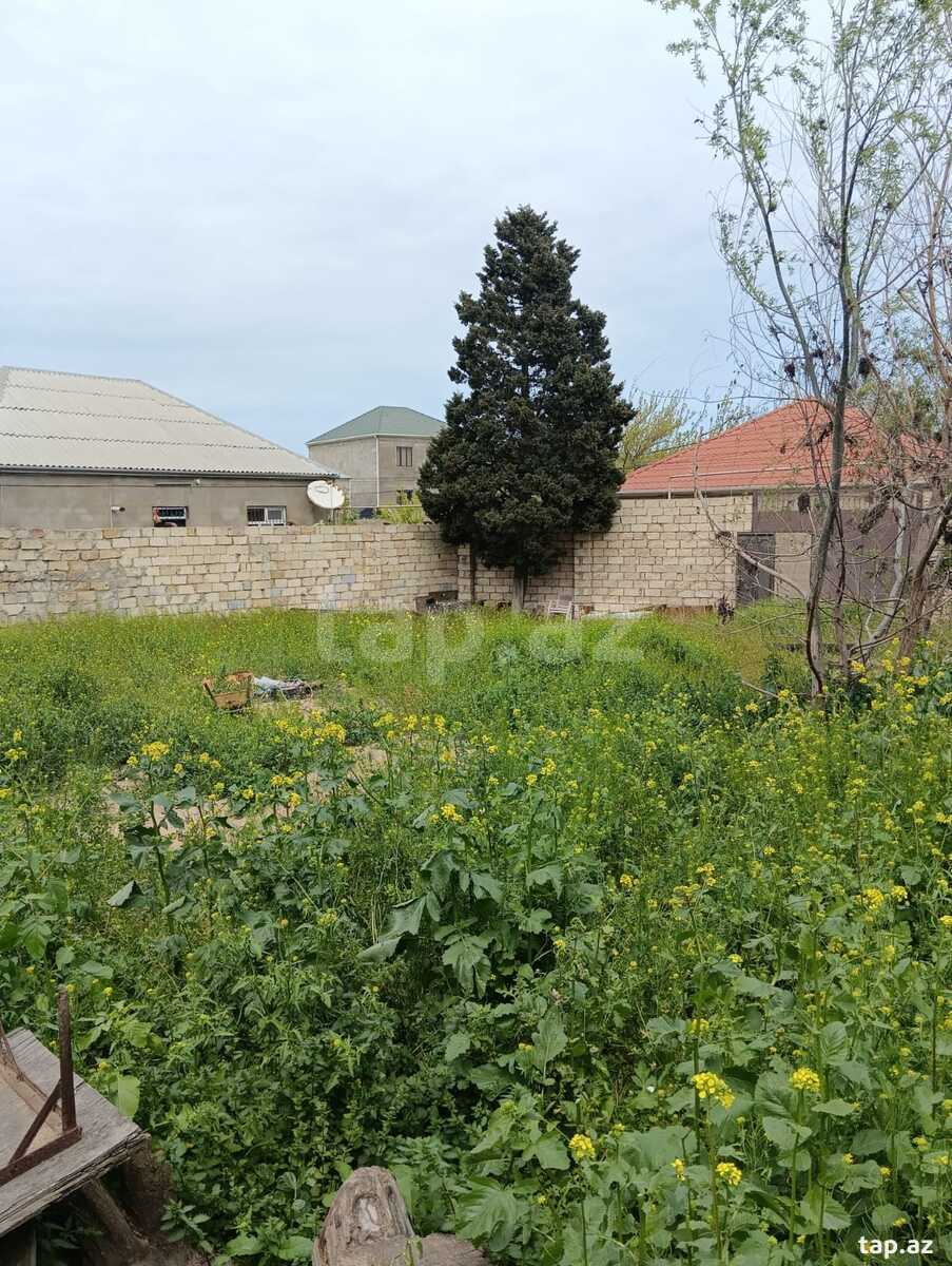 Torpaq satılır, Sumqayıt